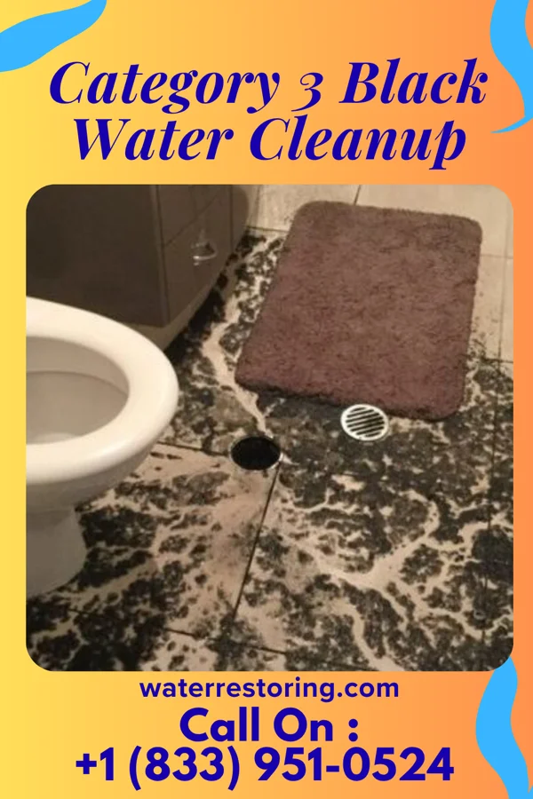 Category 3 Black Water Cleanup in Wickliffe, OH