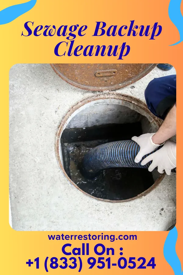 Sewage Backup Cleanup in Wickliffe, OH