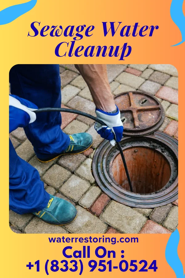 Sewage Water Cleanup in Wickliffe, OH